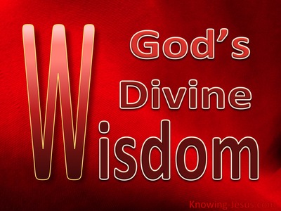 God's Divine Wisdom (red)